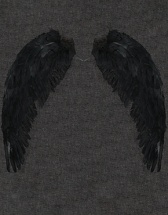 Wings of CangJue